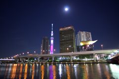 隅田川テラスの夜景