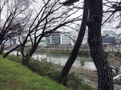 街コン婚活パーティー報告【千鳥ヶ淵・皇居】4/1（土）『カフェ×散歩コン』桜の名所をお花見ウォーキング06