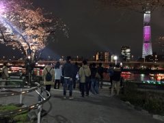 2018年隅田公園の夜桜その2