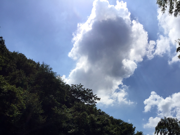 埼玉嵐山渓谷自然体験学習スペイン料理川遊び青い空